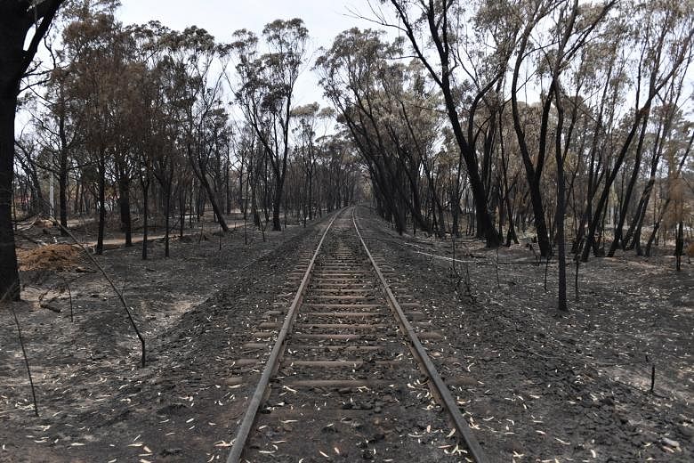 Australia dilanda gelombang panas ekstrem, meningkatkan ancaman kebakaran hutan