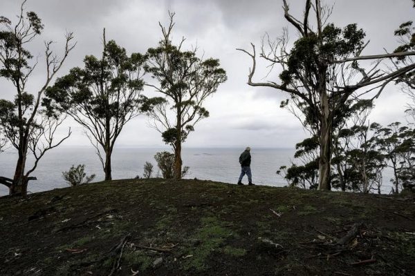 Di darat, panas Australia yang meningkat adalah ‘apokaliptik’; Di lautan, itu bahkan lebih buruk