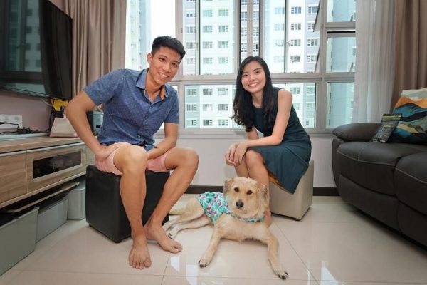 Kriteria ukuran baru memungkinkan anjing yang lebih besar tinggal di flat HDB