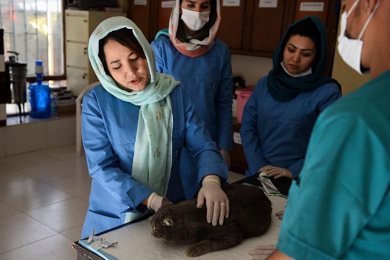 Damai, tapi berapa harganya? Perempuan Afghanistan khawatir kembalinya Taliban akan melucuti kebebasan baru mereka
